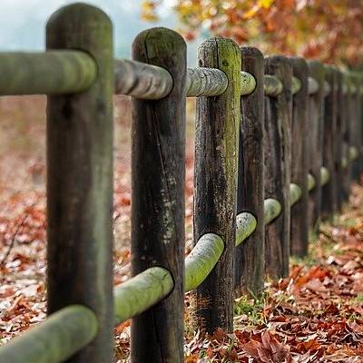 Fencing made of wood